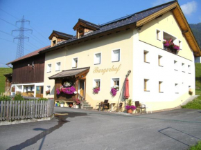 Гостиница Burgerhof  Петтной Им Альберг